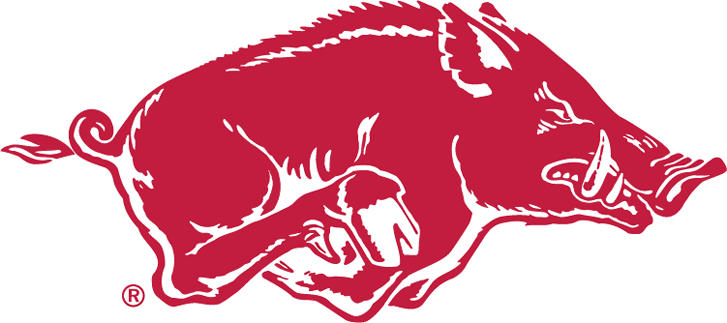 Arkansas Razorbacks 1967-2000 Alternate Logo diy DTF decal sticker